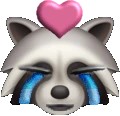 lovecry_raccoon emote