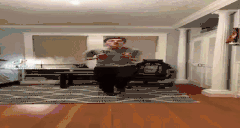 VerhulstPls animated emote