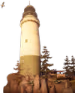 bay emote