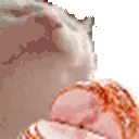 catHAM emote
