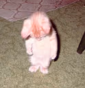 awman emote