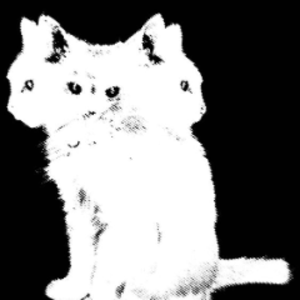 dokapt avatar
