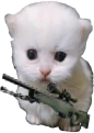 awpert emote