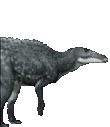 stompShan emote