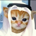HABIBI emote