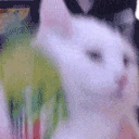 dewShakey emote