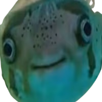 Weird_fish emote