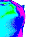 catRave animated emote
