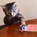 HESALLIN emote