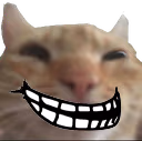 trollcat emote