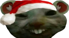 chomik emote