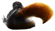 UltraRealisticMightyEagle emote