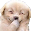 jijiji emote