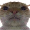 BRUH static emote