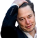 elonawcrap static emote