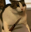 chatumare emote