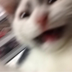 spazmmmm avatar