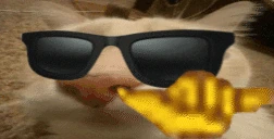 otagCool emote