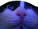 uh_oh emote