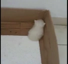 LeavMeAlone emote