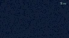 FISH emote