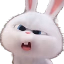 wtf emote