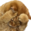 notlikethis static emote