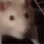 RatJam emote