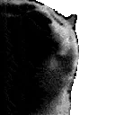 catDOOM emote