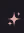 lapasasa emote