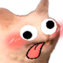CattoDerp emote