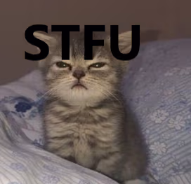 cat_stfu emote