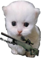 awpert static emote