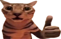 okak emote
