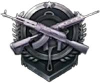 pubgrank5 emote