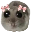 cute emote
