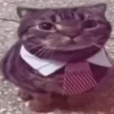 catsitting emote