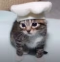 chef emote