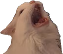 thurston emote
