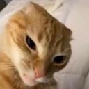 criminaloffensivesideeye emote