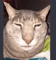 jajokot emote