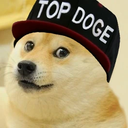 top_doge emote
