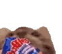 VeryCat emote