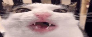 crunch emote