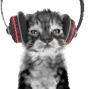 catnotL emote