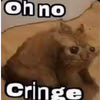 oh_no_cringe_cat emote