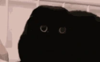 Mraak69 emoji