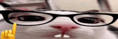plinkus emote