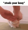 StealsYourBnuy emote