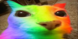 gayto static emote